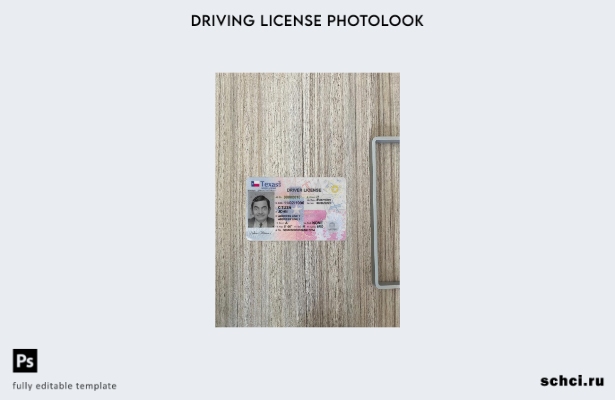 цифровая загрузка США Техас новая версия водительских прав фотовид переднего шаб